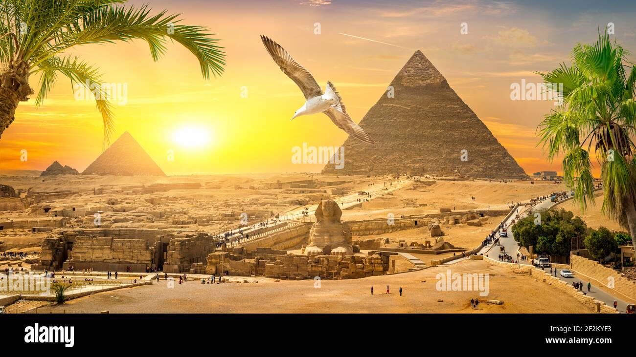 Sphinx and pyramids in the egyptian desert Stock Photo - Alamy