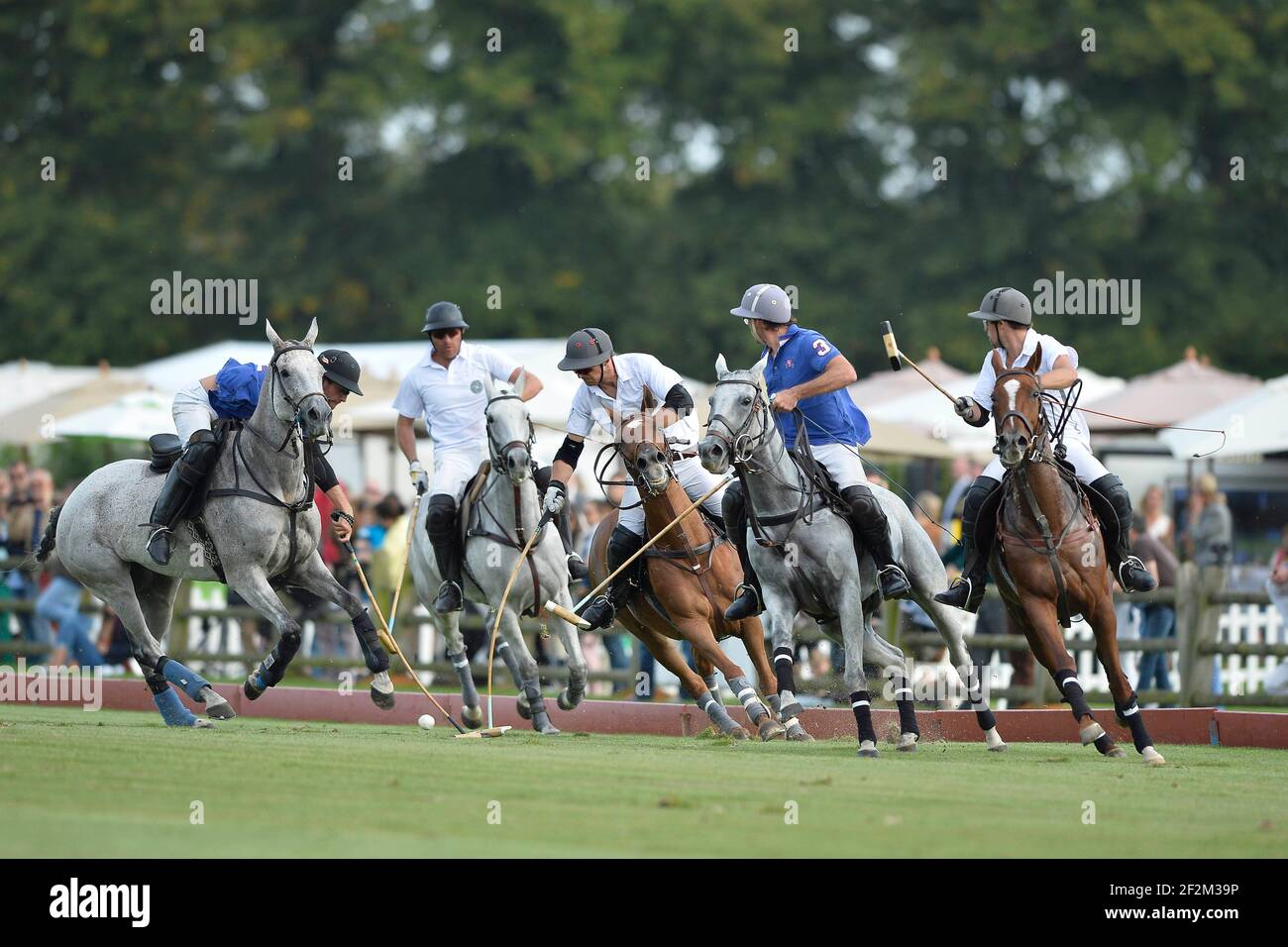 Equestrian - Polo - Final Men - TOM TAILOR / LA QUINTA during the French  Open 2013 in Apremont / Chantilly (France) - September 21th, 2013 - Photo :  Christophe Bricot /