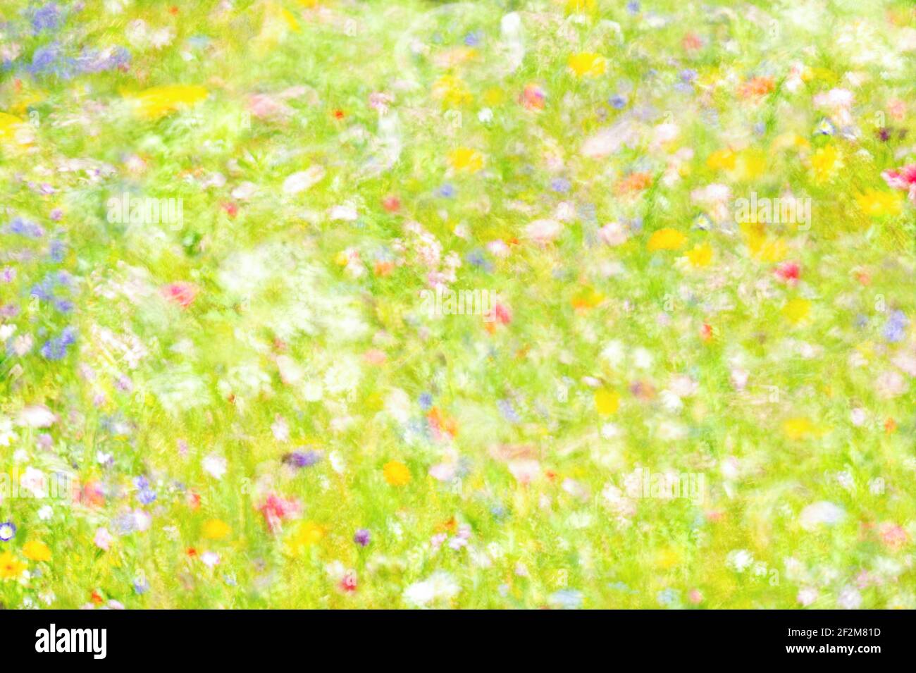 A beautiful impressionist image of a summer meadow of pastel coloured flowers using in-camera techniques. Stock Photo