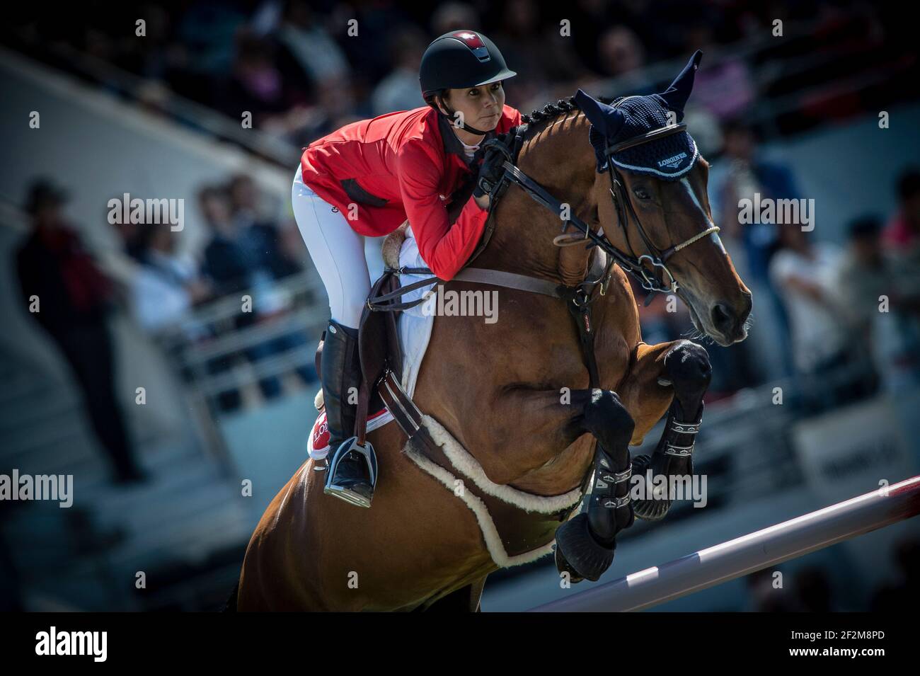 JANE RICHARD PHILIPS RIDING ON PABLO DE VIRTON during Furusiyya FEI Nations Cup? of the Jumping CSIO of France on May 15-18th, 2014, in La Baule, France - 16/05/14 - Photo Christophe Bricot / DPPI Stock Photo