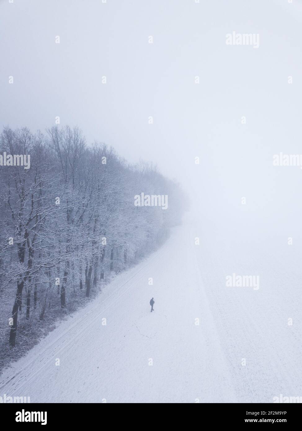 Germany, Saxony, Ore Mountains, Dittersdorfer Höhe, lonely walker in winter landscape Stock Photo