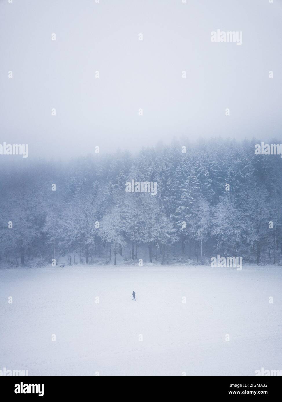 Germany, Saxony, Ore Mountains, Dittersdorfer Höhe, lonely walker in winter landscape Stock Photo