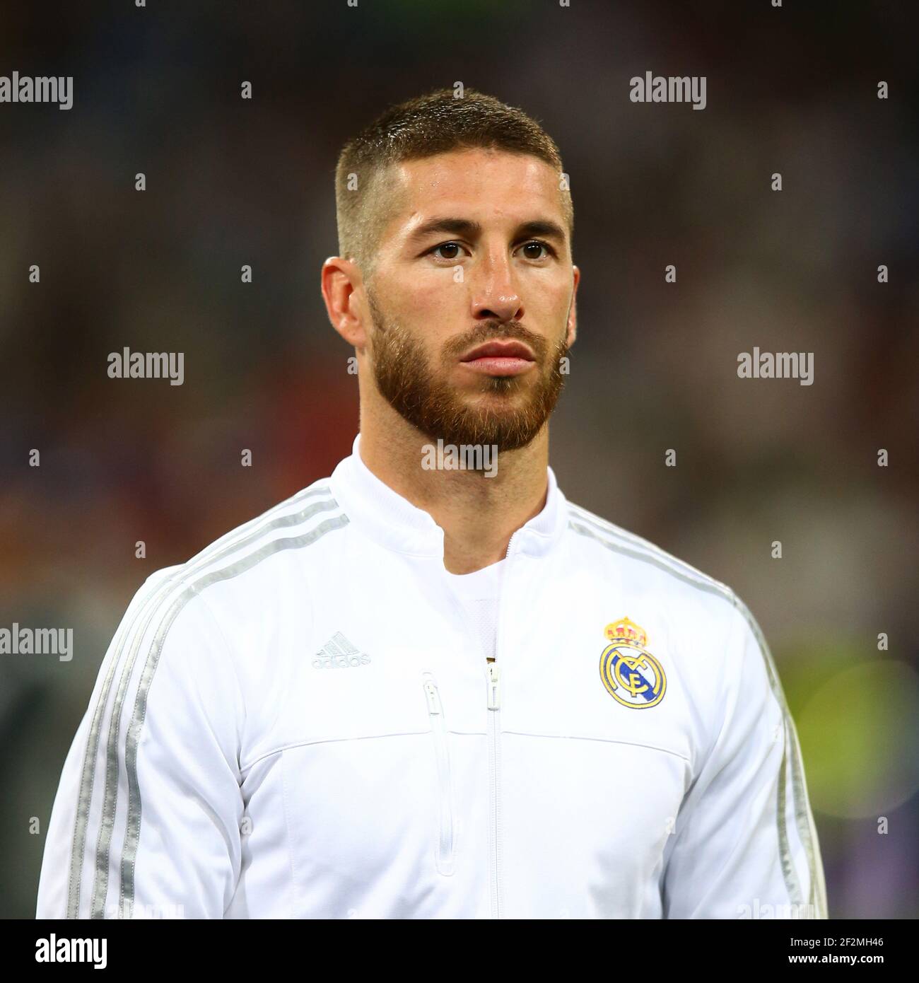 Sergio Ramos of Real Madrid during the UEFA Champions League Group A  football match between Real Madrid CF and FC Shakhtar Donetsk on September  15, 2015 at Santiago Bernabeu stadium in Madrid,