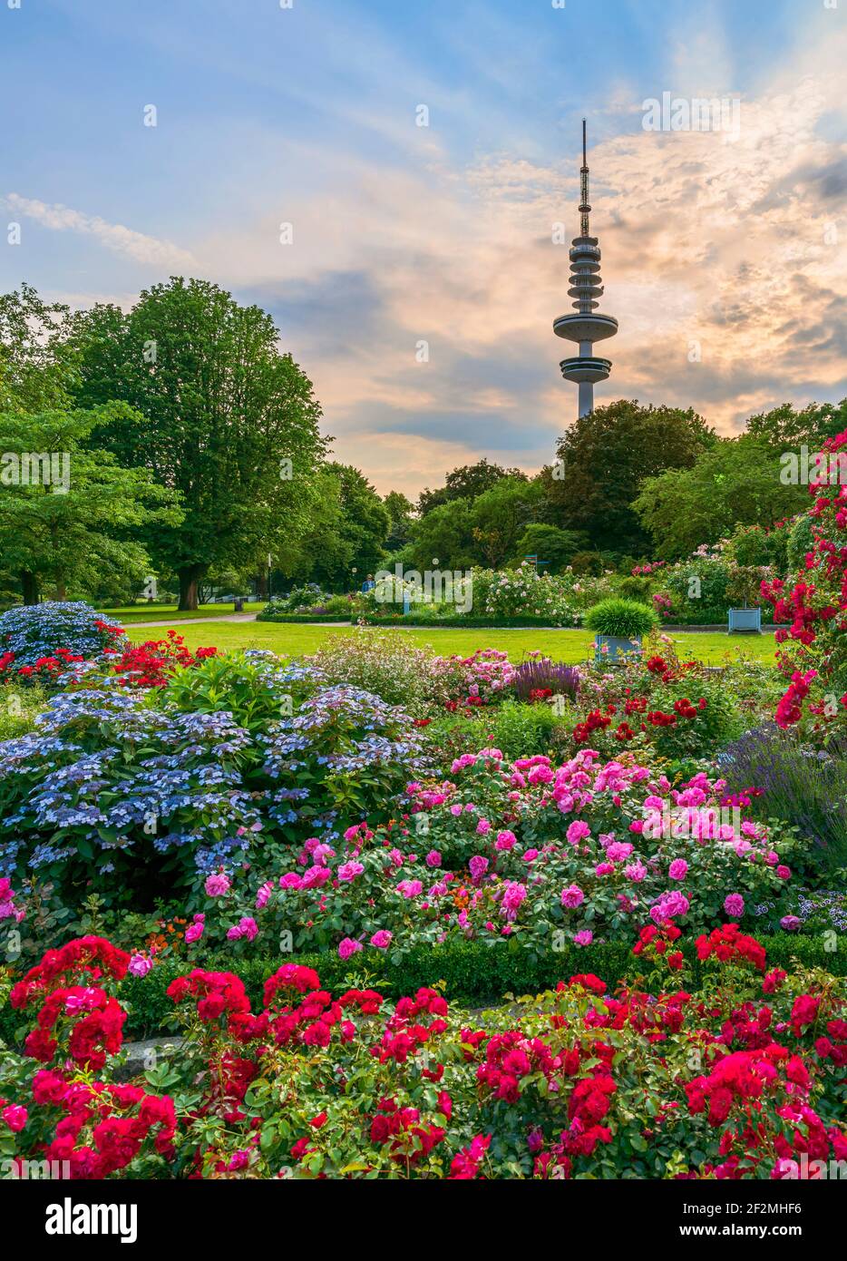 Germany, Hamburg, Planten un Blomen, evening mood in the rose garden Stock Photo