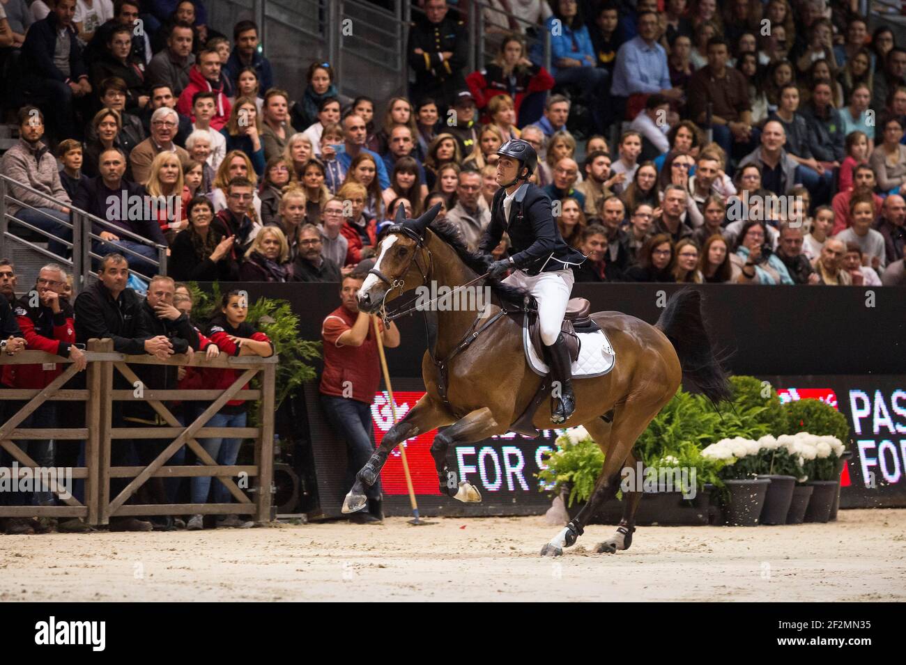 Sergio ALVAREZ MOYA (ESP) riding G\u0026C Arrayan during the Longines Grand  Prix, Equita Lyon, on November 3 , 2017, in Lyon, France - Photo Christophe  Bricot / DPPI Stock Photo - Alamy