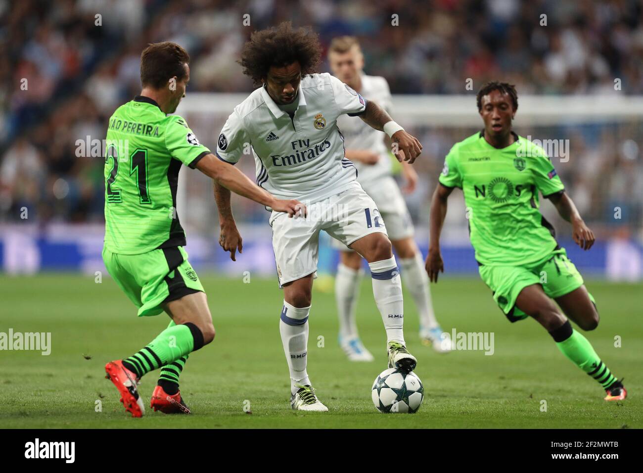 Sporting cp champions league sales