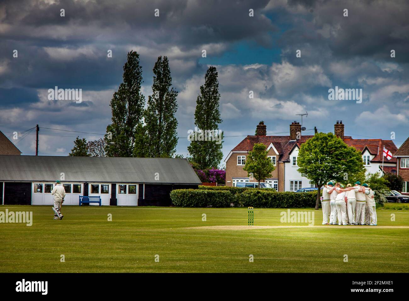 Cricket 2 Stock Photo