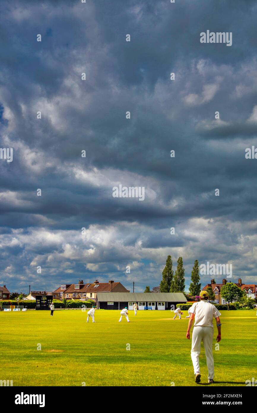 Cricket Fielder Stock Photo