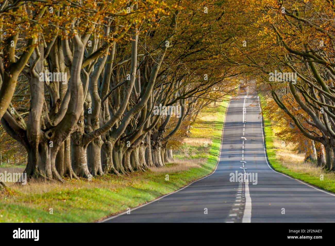 Blandford road hi res stock photography and images Alamy