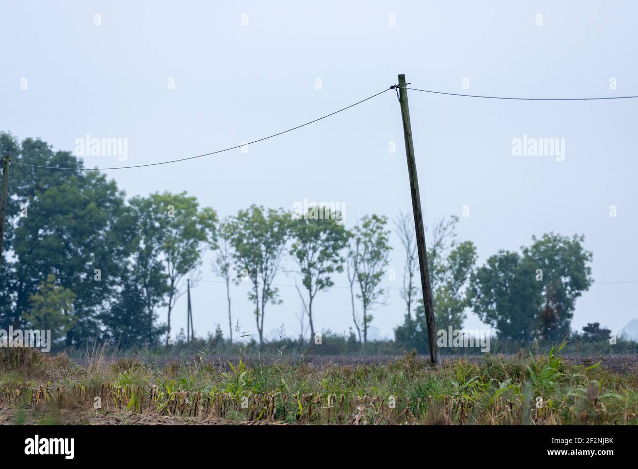 Germany, East Frisia, power line with wooden mast. Stock Photo