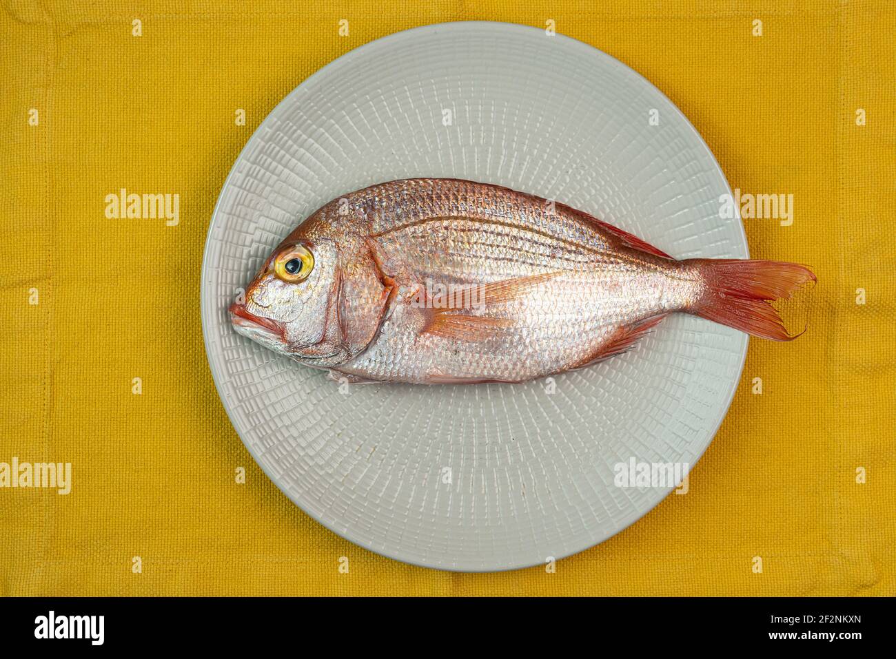 The red snapper fish (Dentex dentex) in the dish Stock Photo
