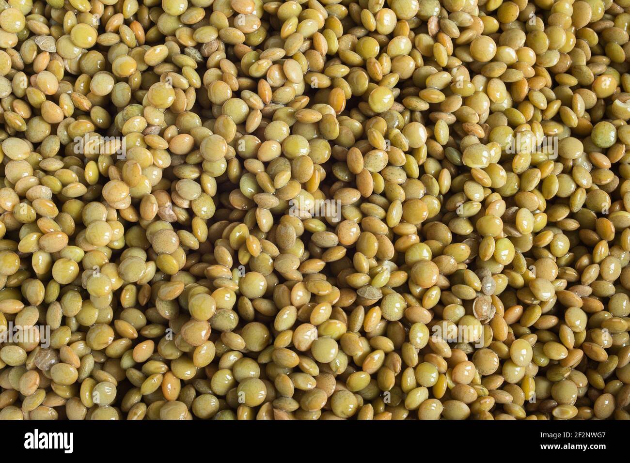 Pardina lentils hi-res stock photography and images - Alamy