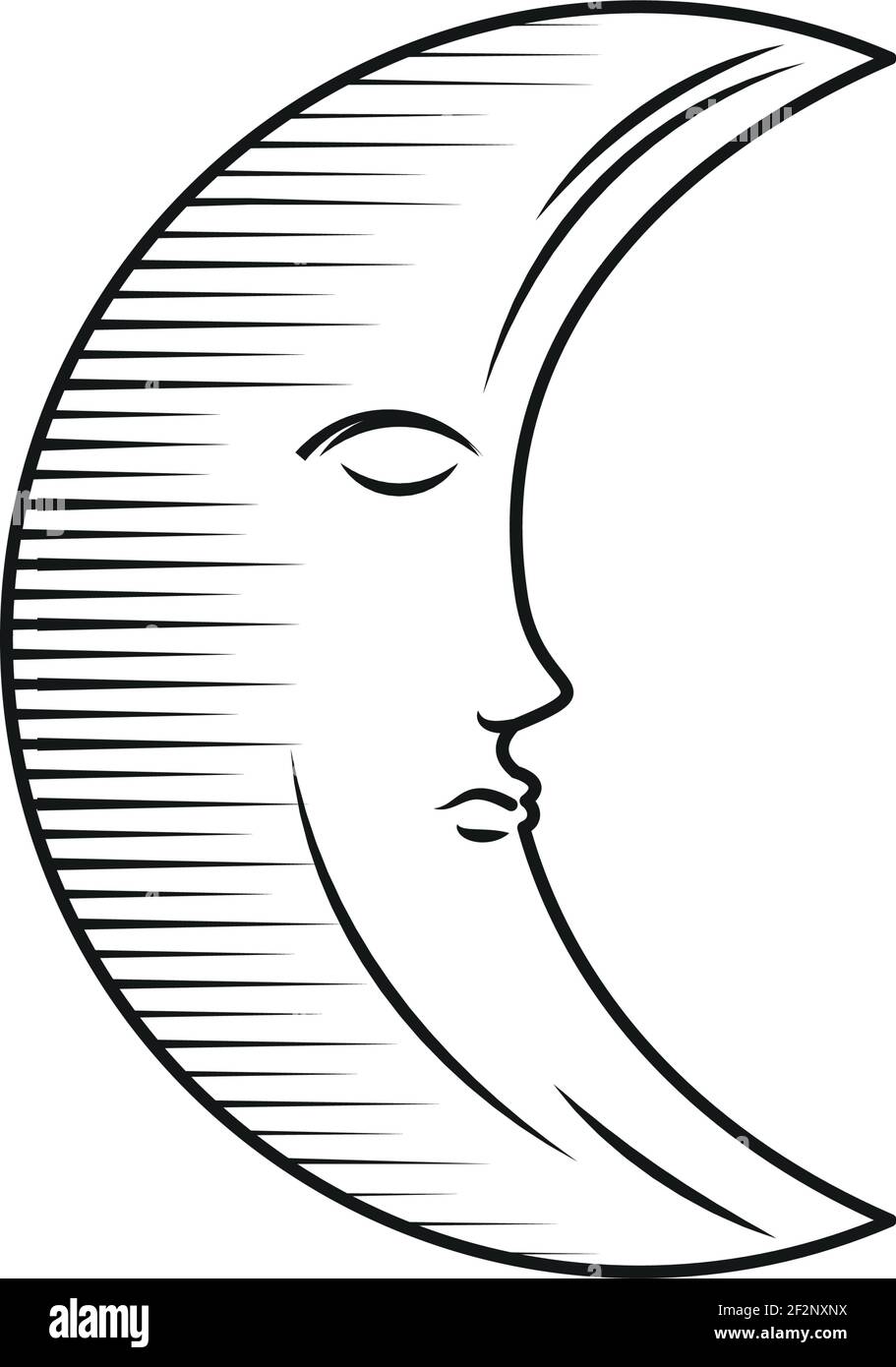 Half Sun and Half Moon SVG Cut file by Creative Fabrica Crafts · Creative  Fabrica