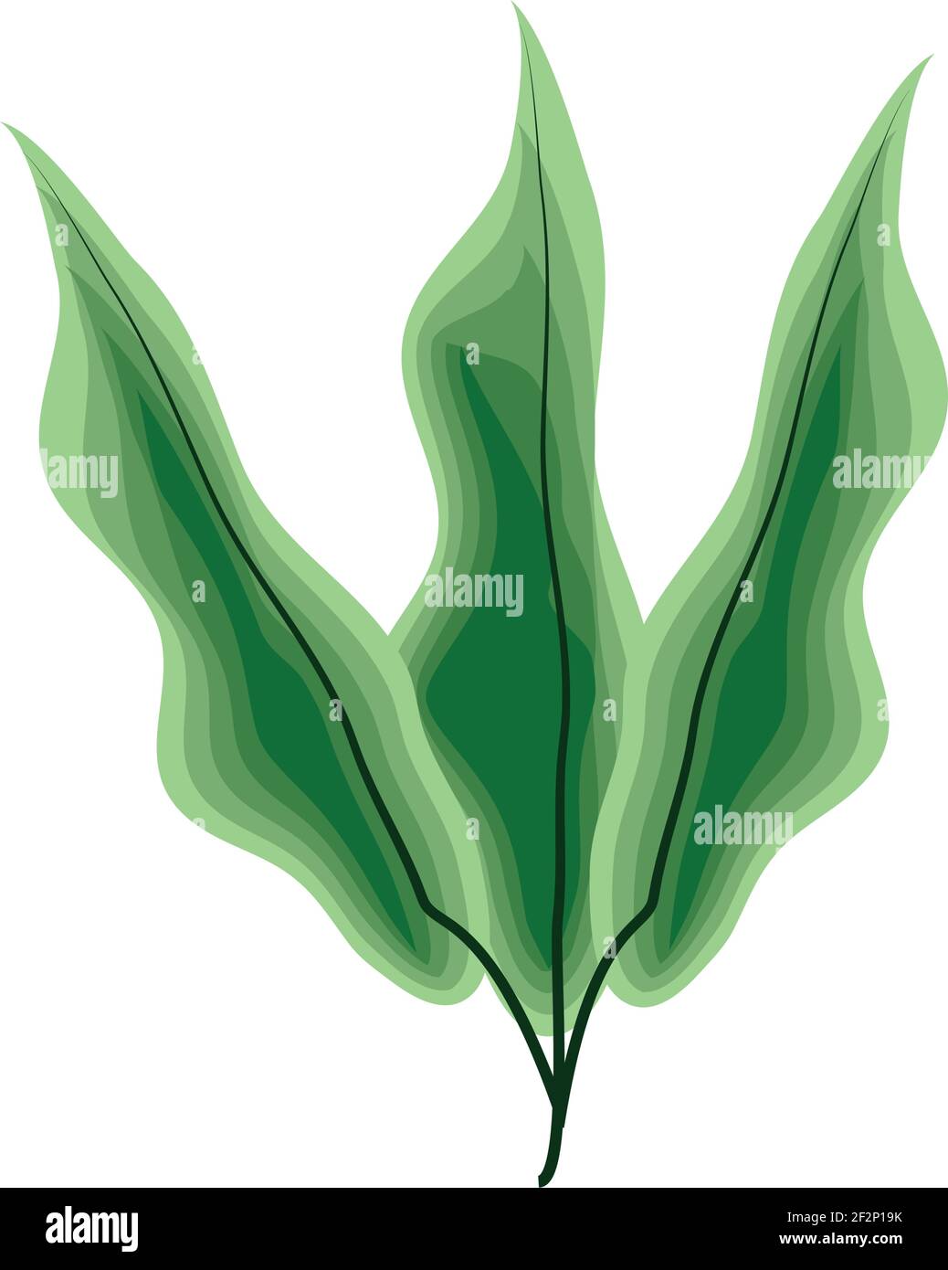 leaves vegetation plant natural isolated Stock Vector Image & Art - Alamy