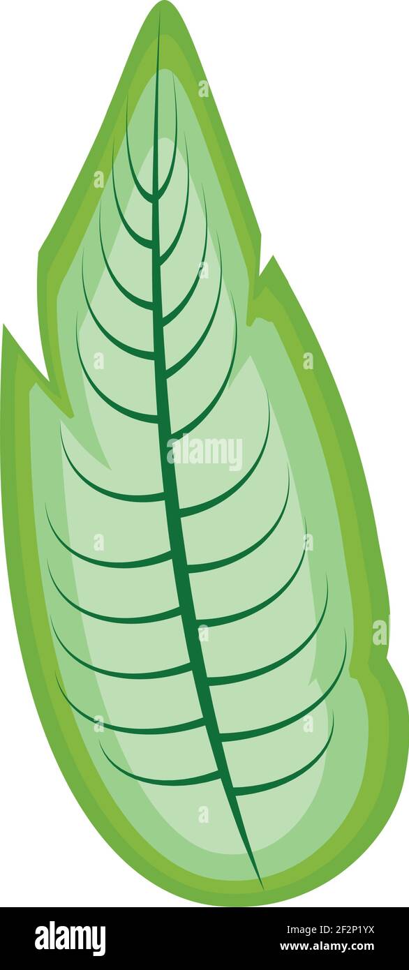 leaf vegetation foliage natural icon Stock Vector Image & Art - Alamy