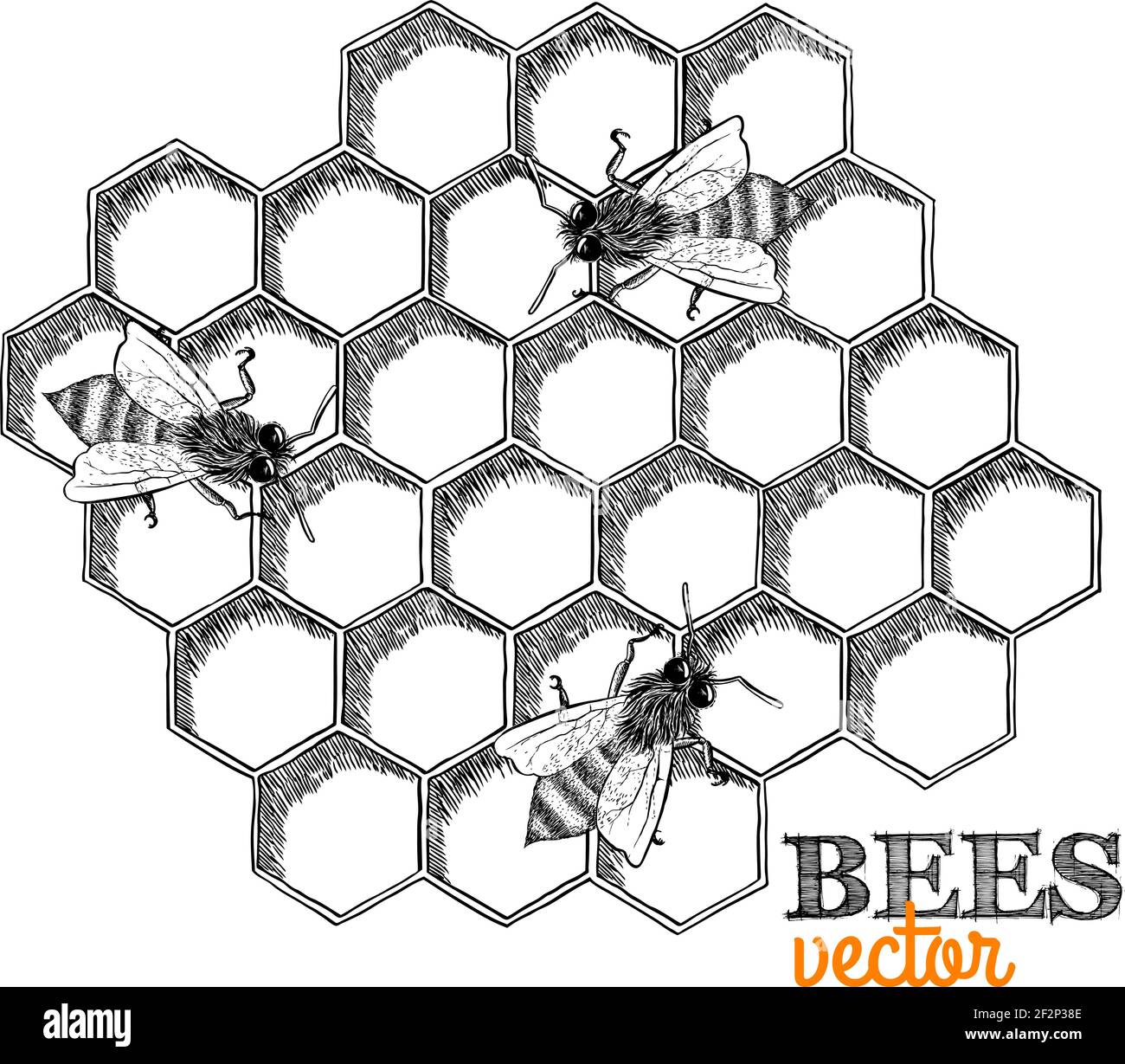 Honey bees and honeycomb isolated vector illustration Stock Vector ...