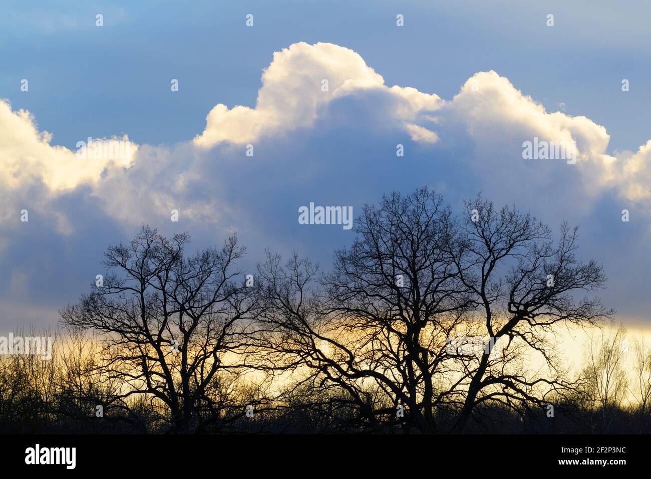 Formation clouds in sky time hi-res stock photography and images - Alamy