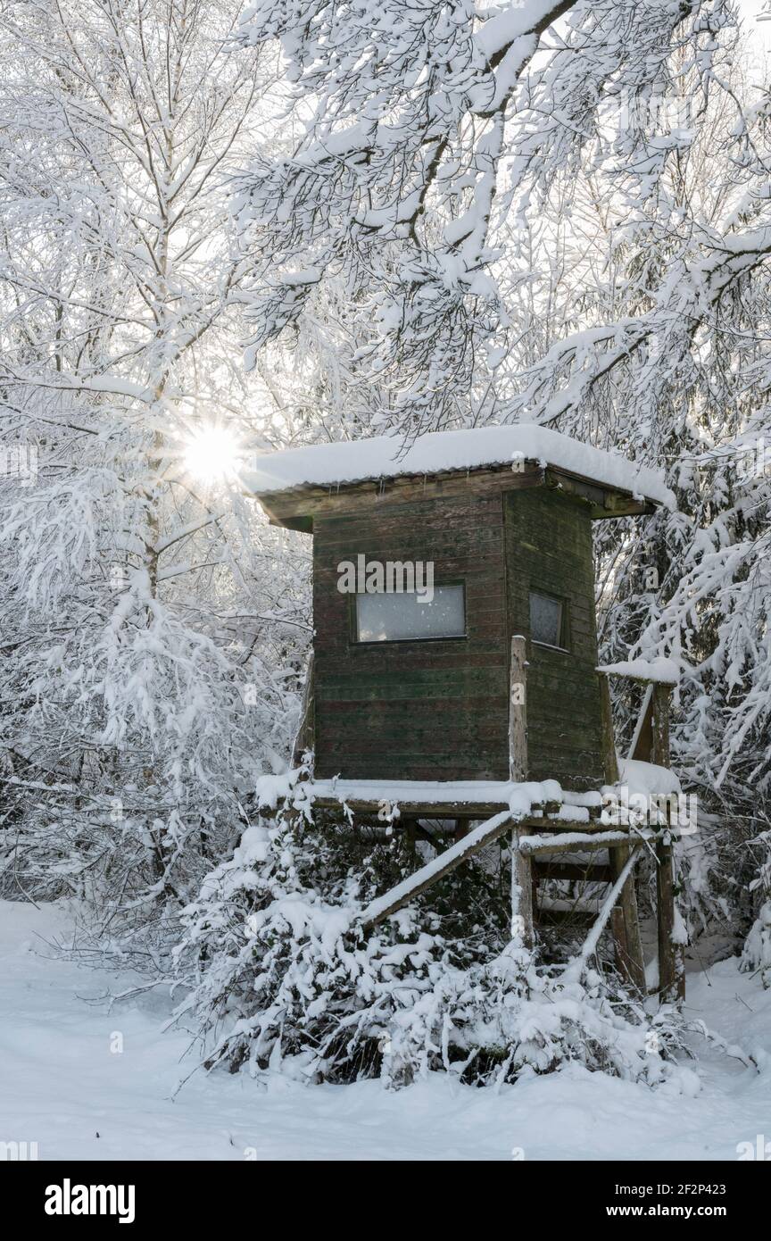 High seat in winter, Hessen, Germany Stock Photo