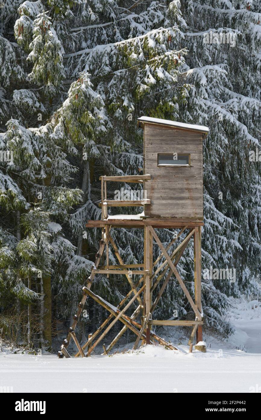 High seat in winter, Hessen, Germany Stock Photo