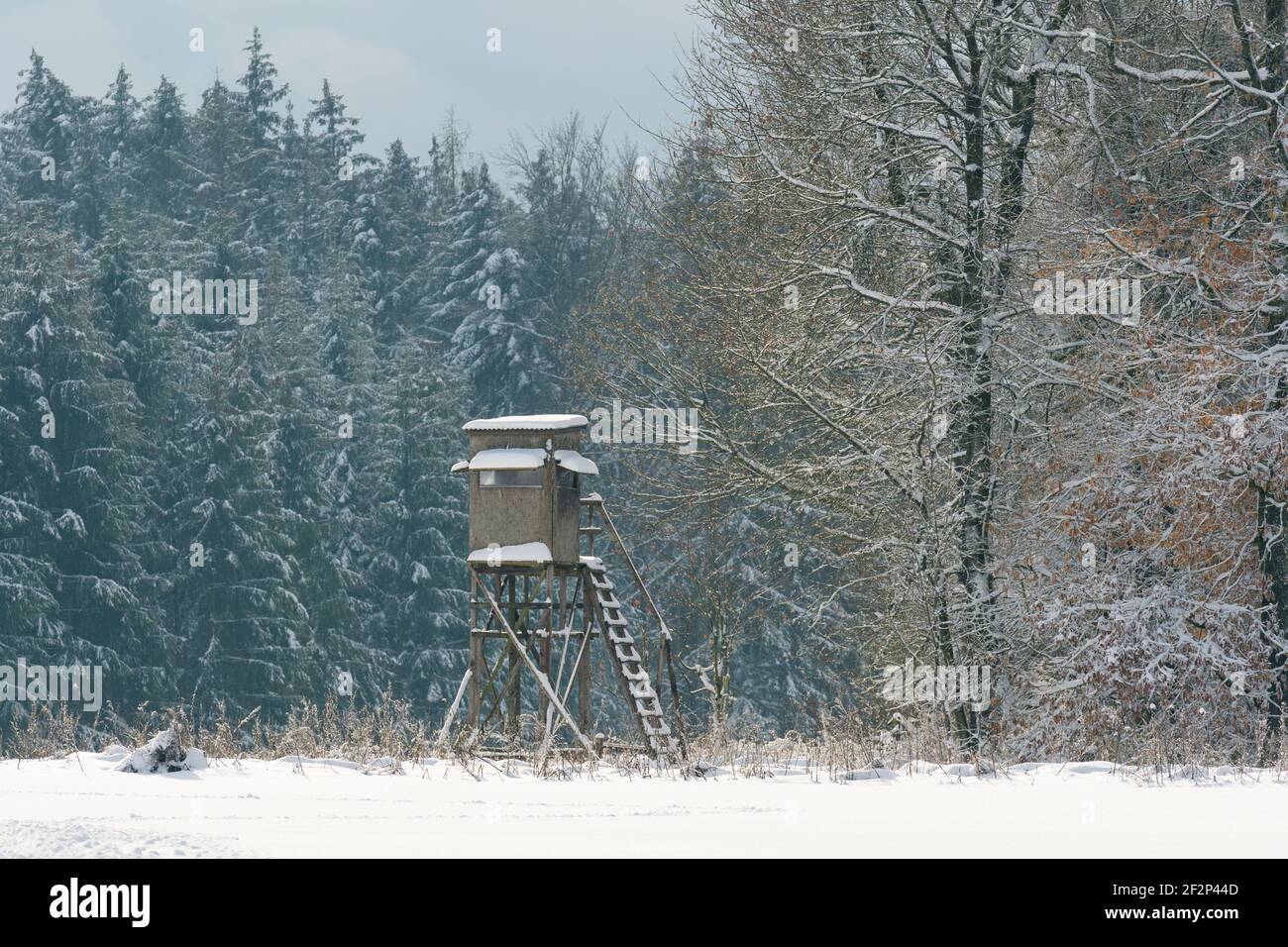 High seat in winter, Hessen, Germany Stock Photo