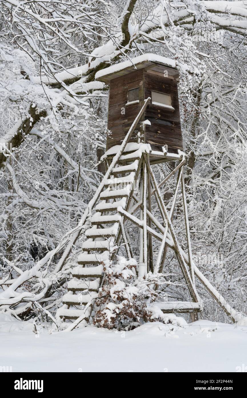 High seat in winter, Hessen, Germany Stock Photo