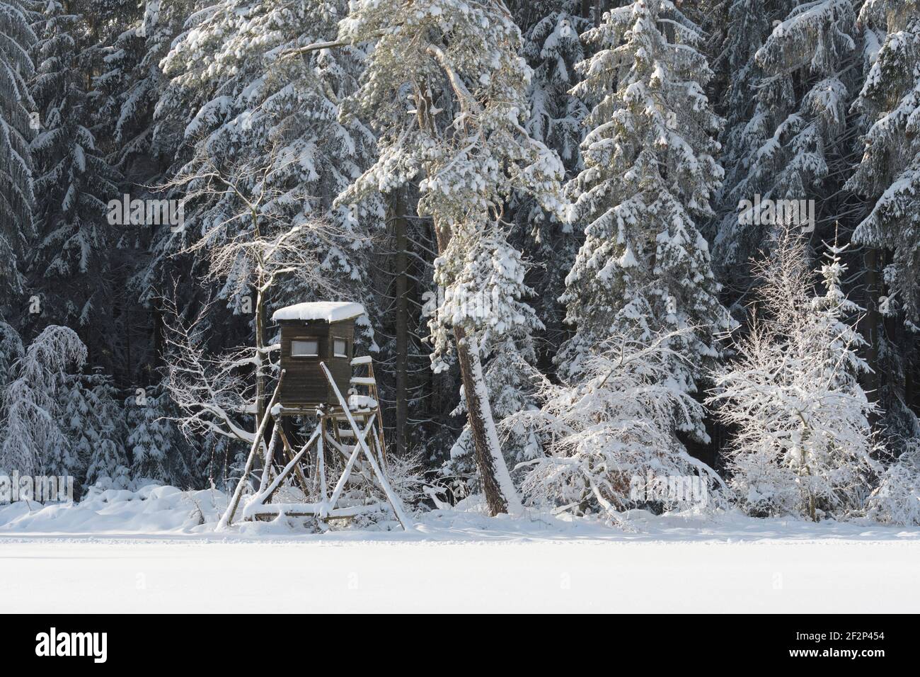 High seat in winter, Hessen, Germany Stock Photo