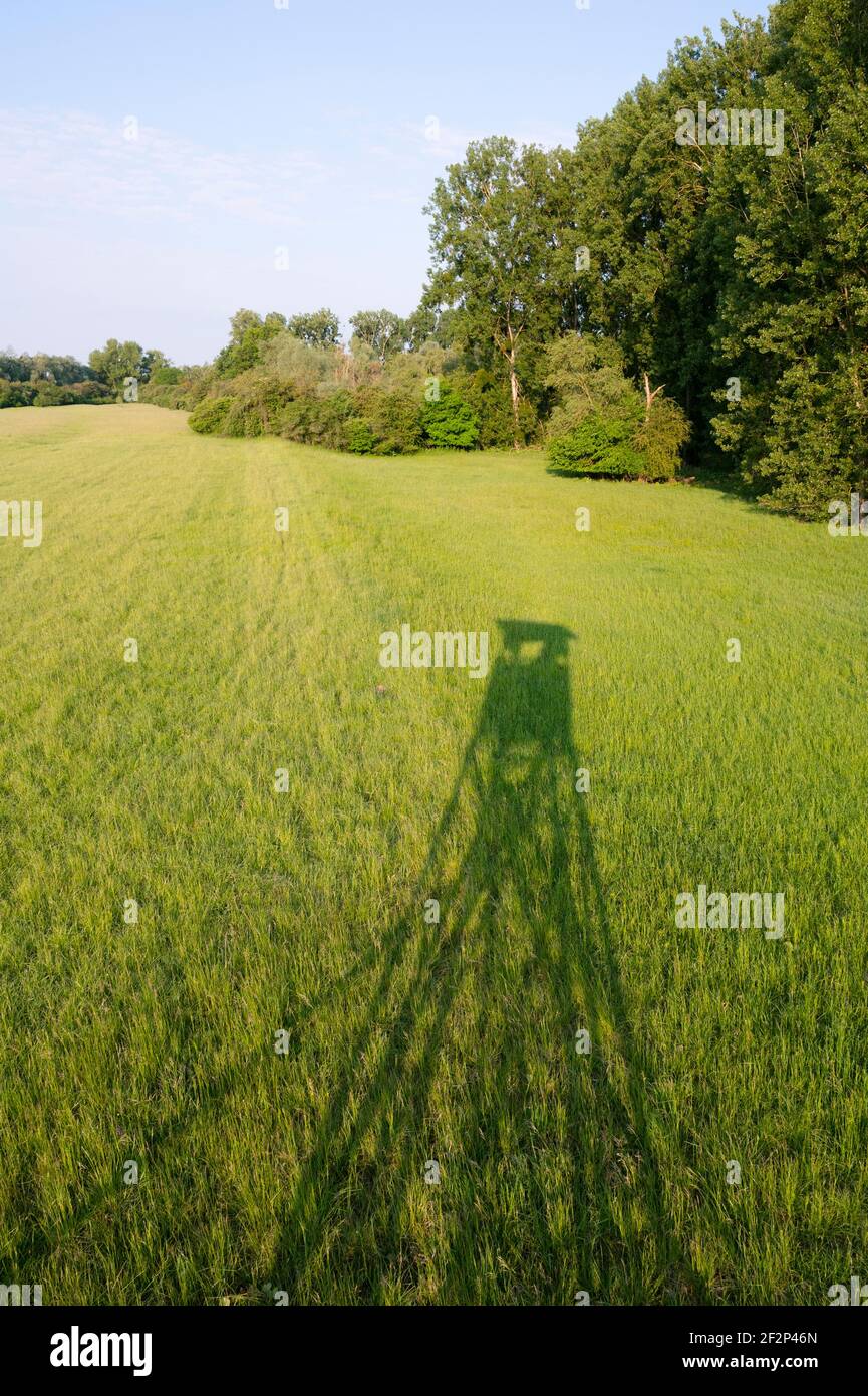 Shadow of a pulpit in a meadow, May, Hesse, Germany Stock Photo