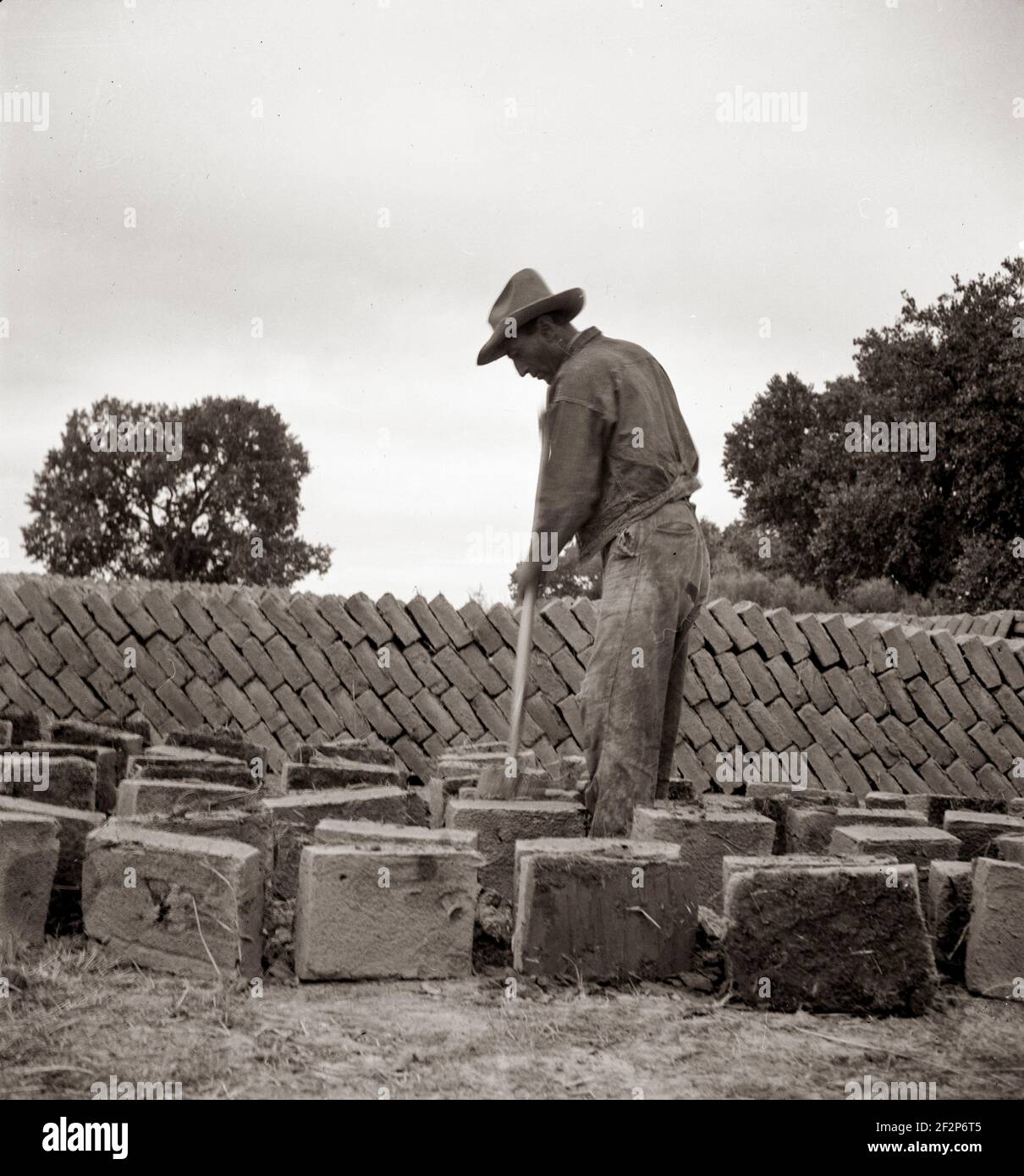 Bosque Farms project. Making adobe brick for school and permanent