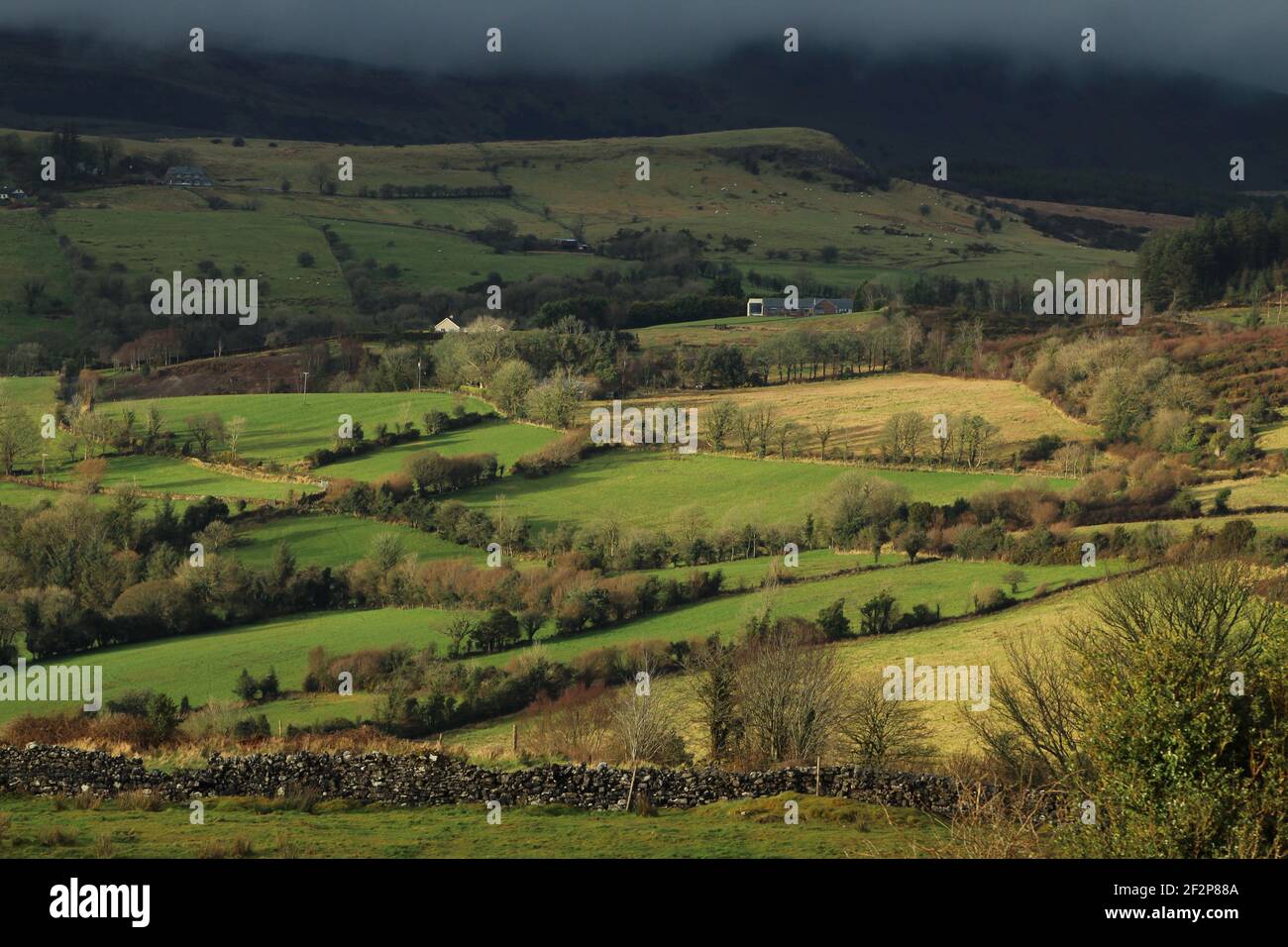 Landscape at Calry, County Sligo, Ireland featuring hills of green fields farmland bordered by trees and stone walls under overcast skies Stock Photo