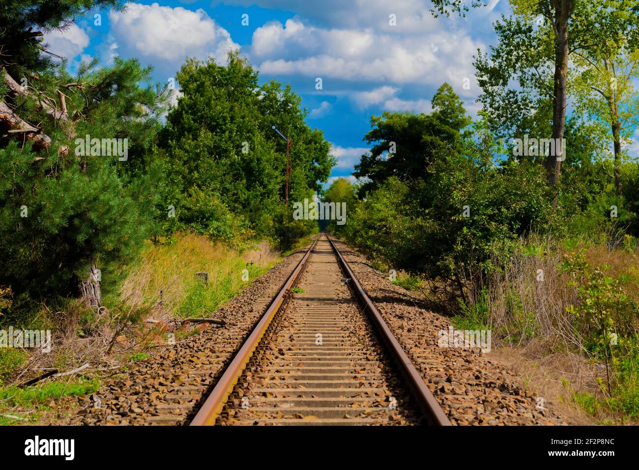 Old railway tracks that are no longer used in Germany, Trees next to the railway tracks Stock Photo