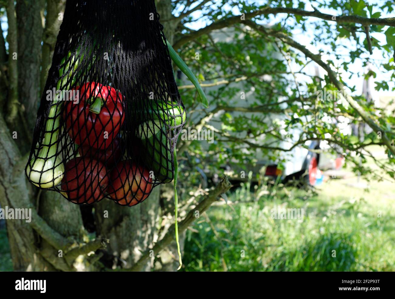 Camping holiday on the Baltic Sea Stock Photo