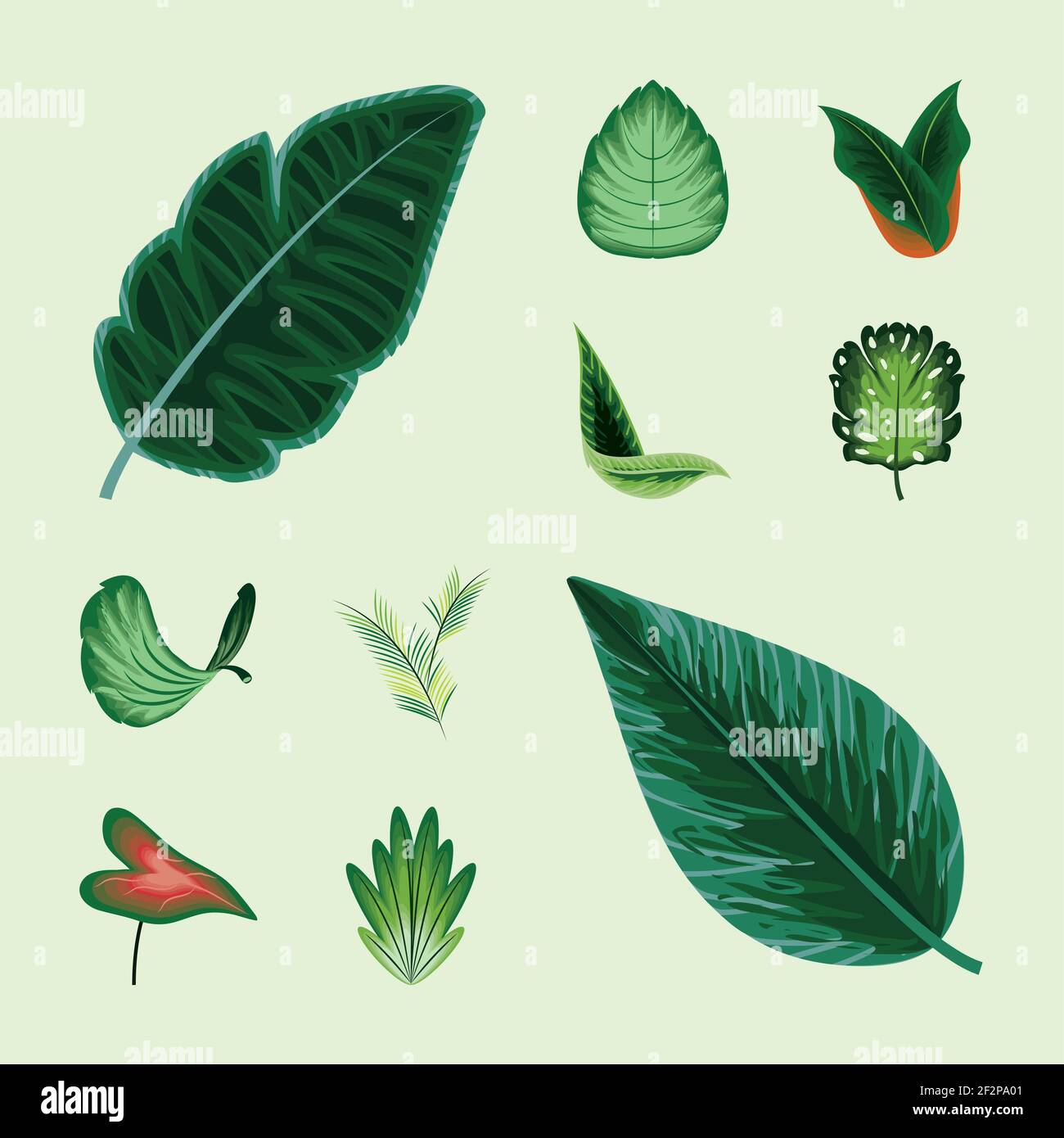 set leaf leaves plant greenery Stock Vector Image & Art - Alamy