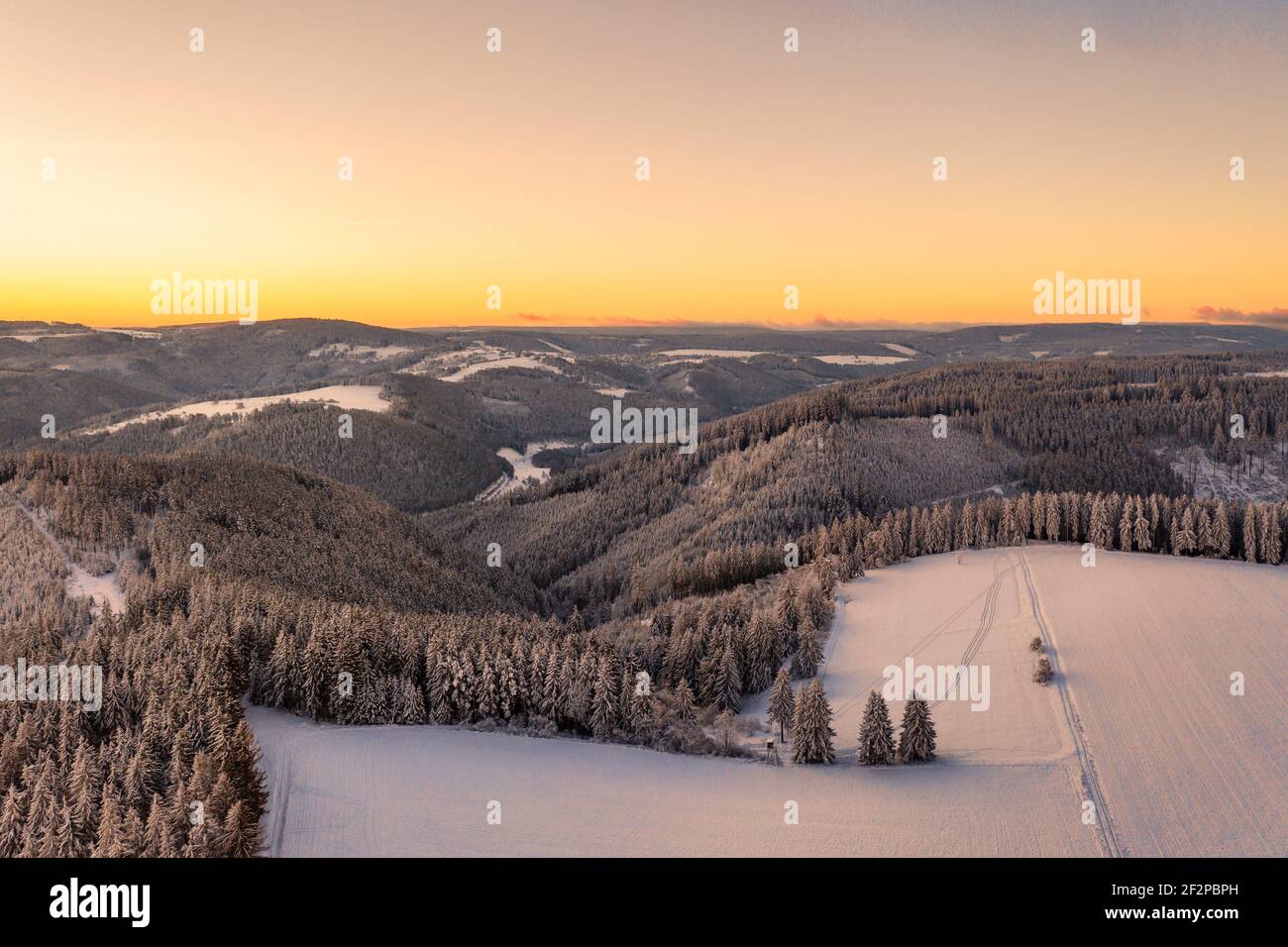 Germany, Thuringia, Grossbreitenbach, Allersdorf, valleys, forest, mountains, fields, snow, shortly before sunrise Stock Photo