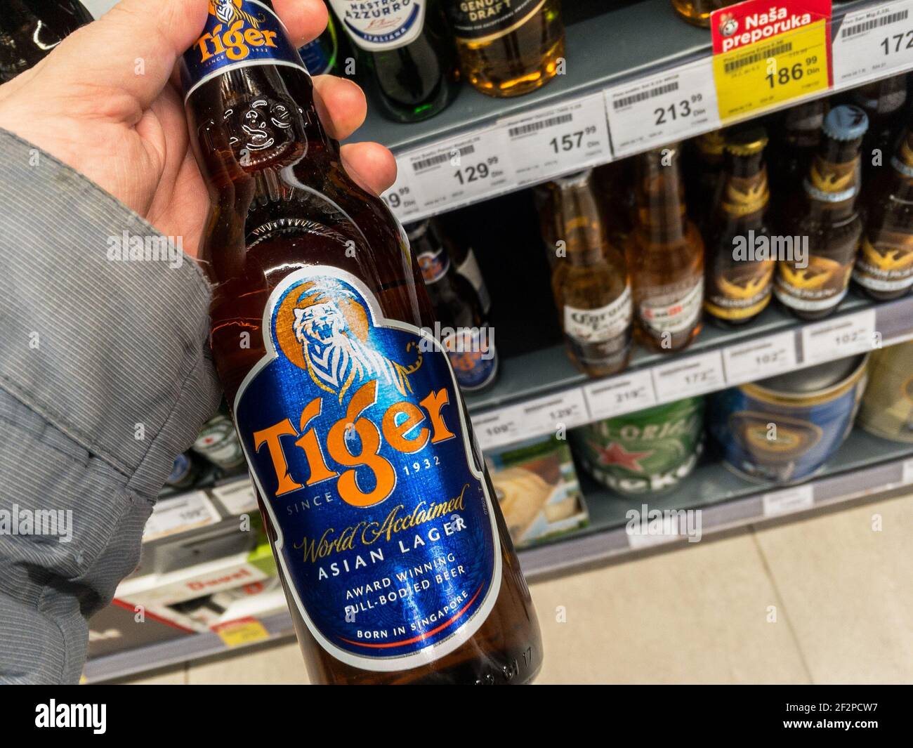BELGRADE, SERBIA - MARCH 3, 2021: Hands holding a bottle of Tiger beer. Tiger Beer is a brand of Asian lager beer produced by a singapore brewery comp Stock Photo