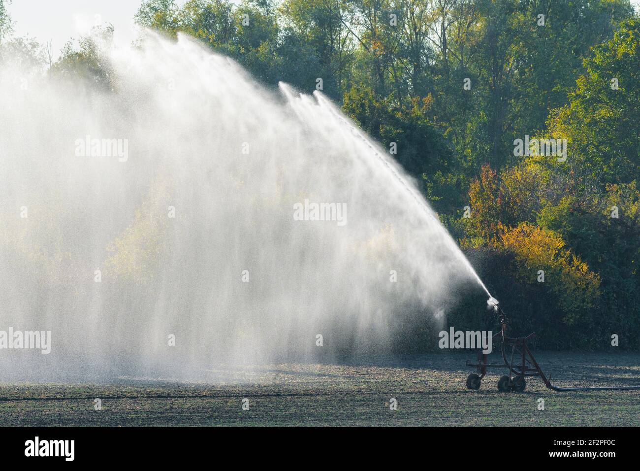 Irrigation system on a field in October, Hesse Stock Photo