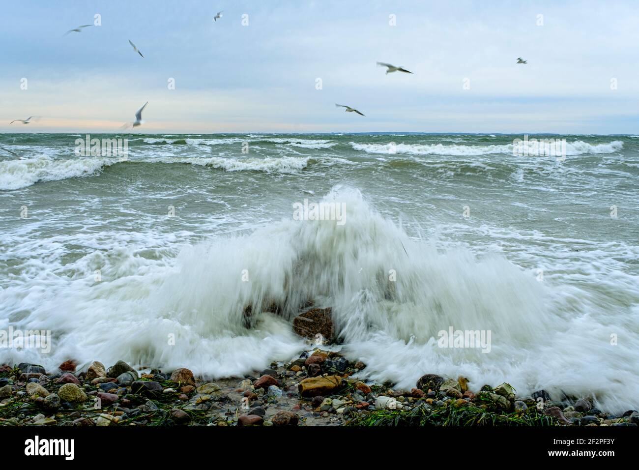 Baltic Sea in winter storm Stock Photo Alamy