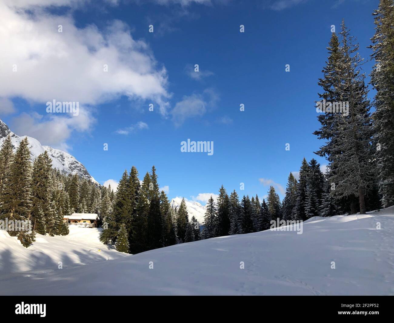 Hoher Sattel toboggan run, Jägerhütte, winter landscape, nature, Ahrn,  Leutasch, Scharnitz, Seefeld, Tyrol, Austria Stock Photo - Alamy