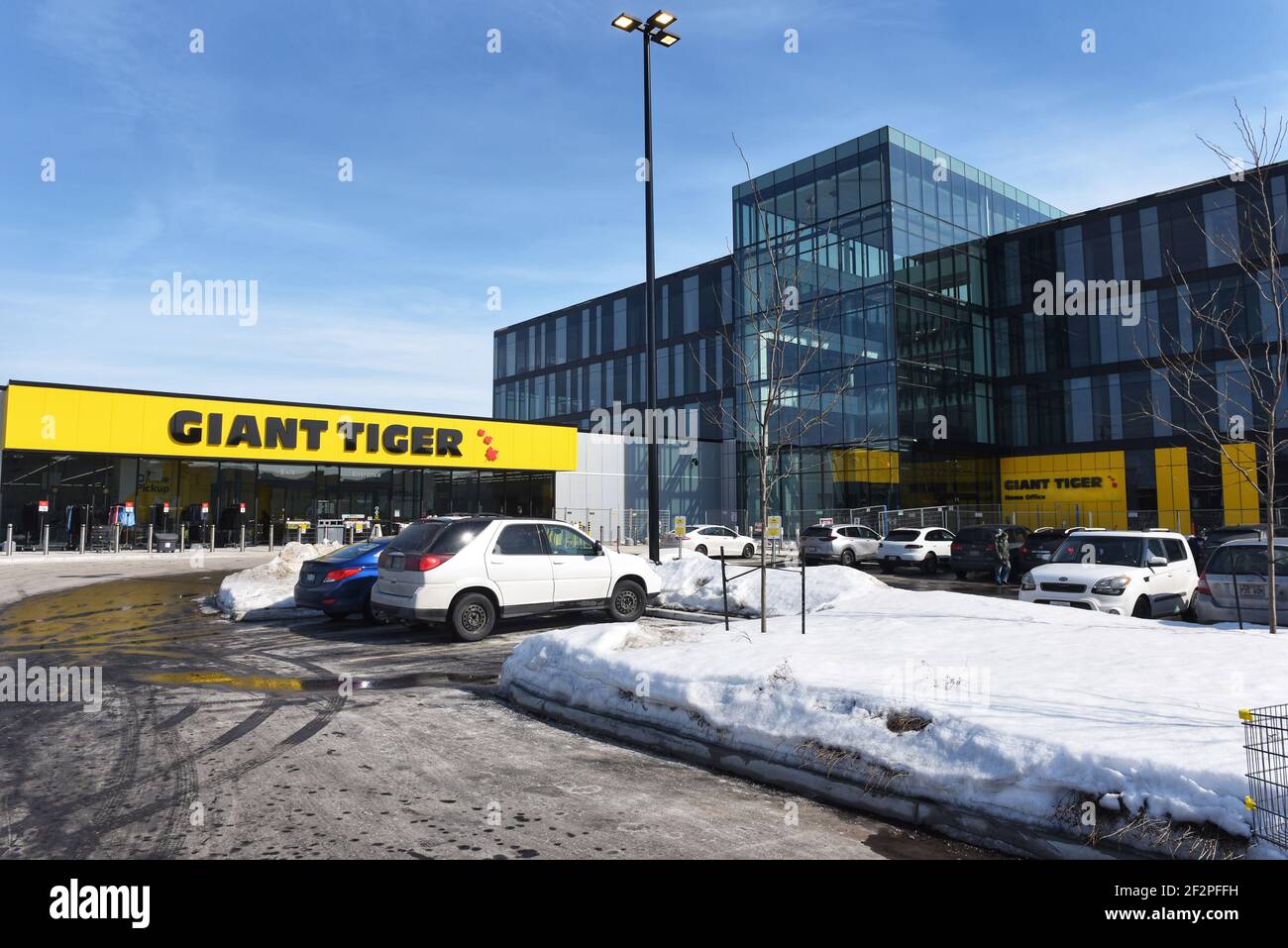 Giant tiger store hi-res stock photography and images - Alamy