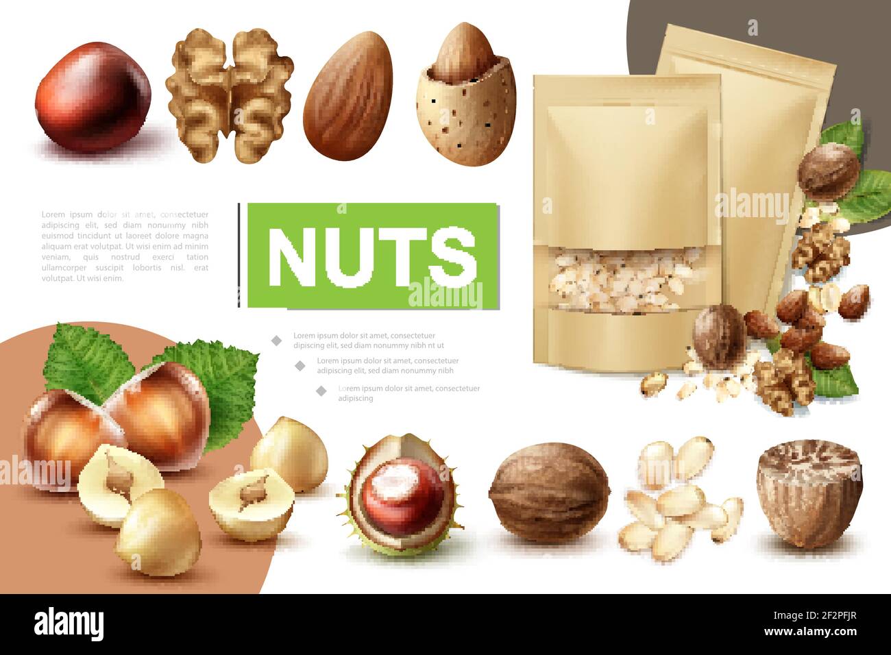 Realistic healthy nuts composition with walnut hazelnut macadamia