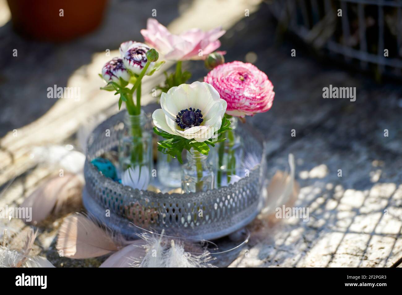 Oster-Dekorationen mit Frühlingsblumen, Ranunkeln und Anemonen Stock Photo