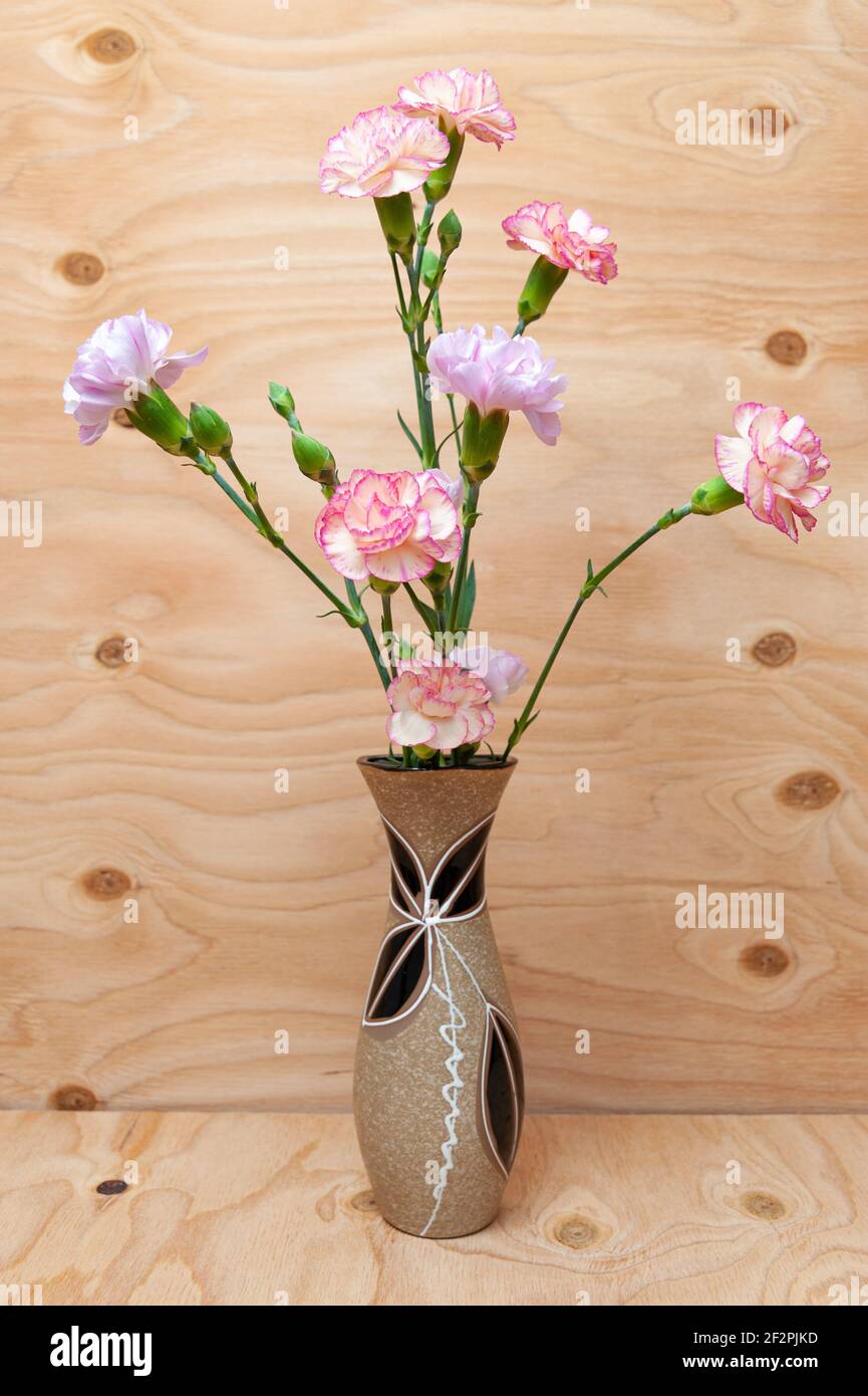 Beautiful Japanese carnation flower arrangement in small ceramic vase. Wood background. Copy