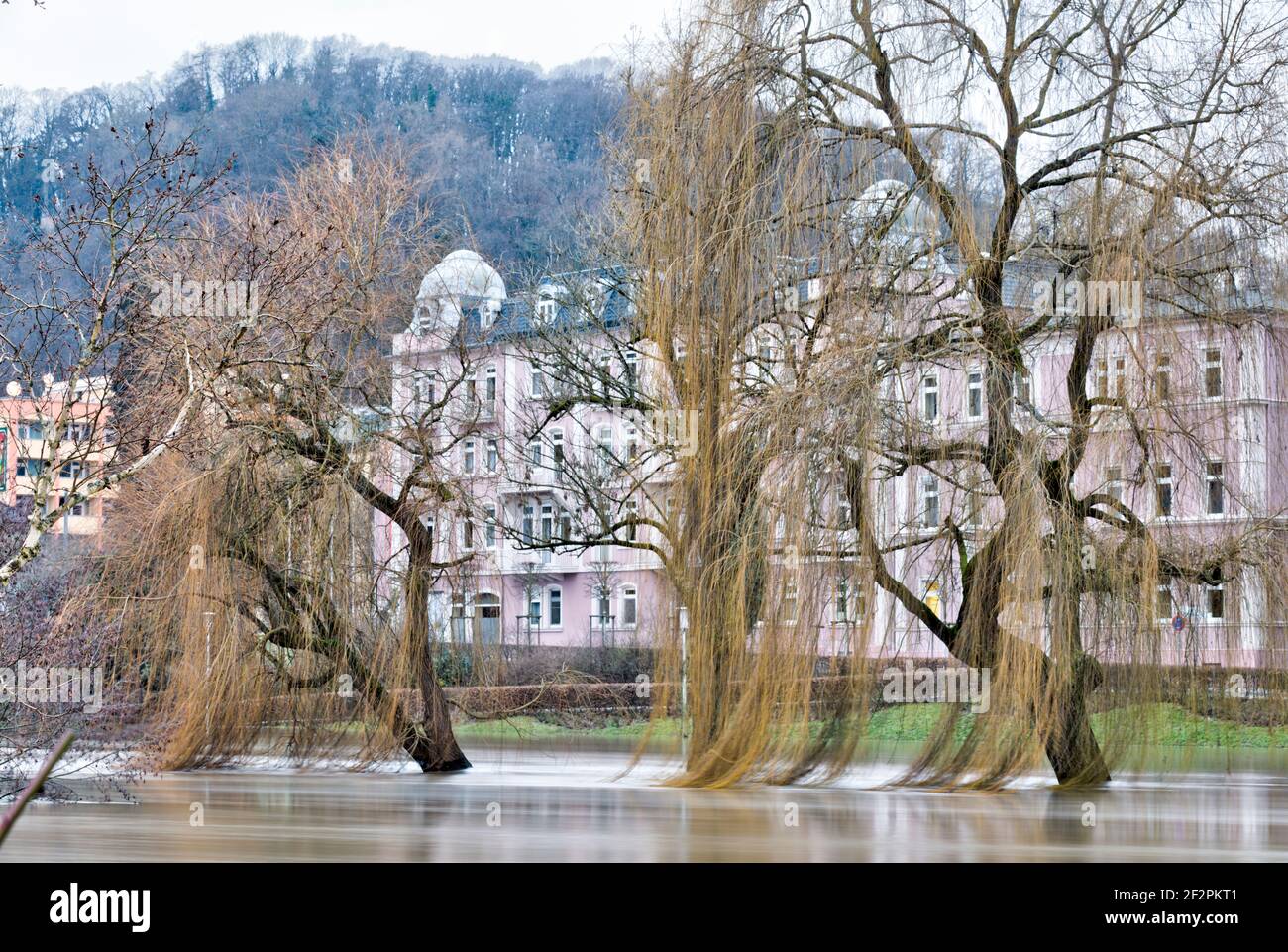 Rosengarten klinik heiligenfeld hires stock photography and images Alamy