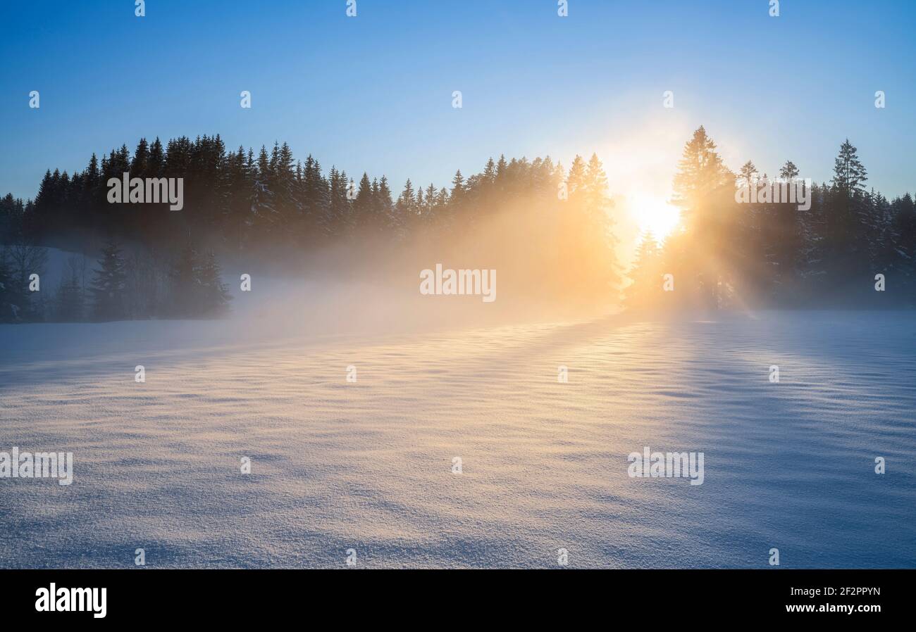 Snowy winter forest with a mystical evening sun. Allgäu, Bavaria, Germany Stock Photo
