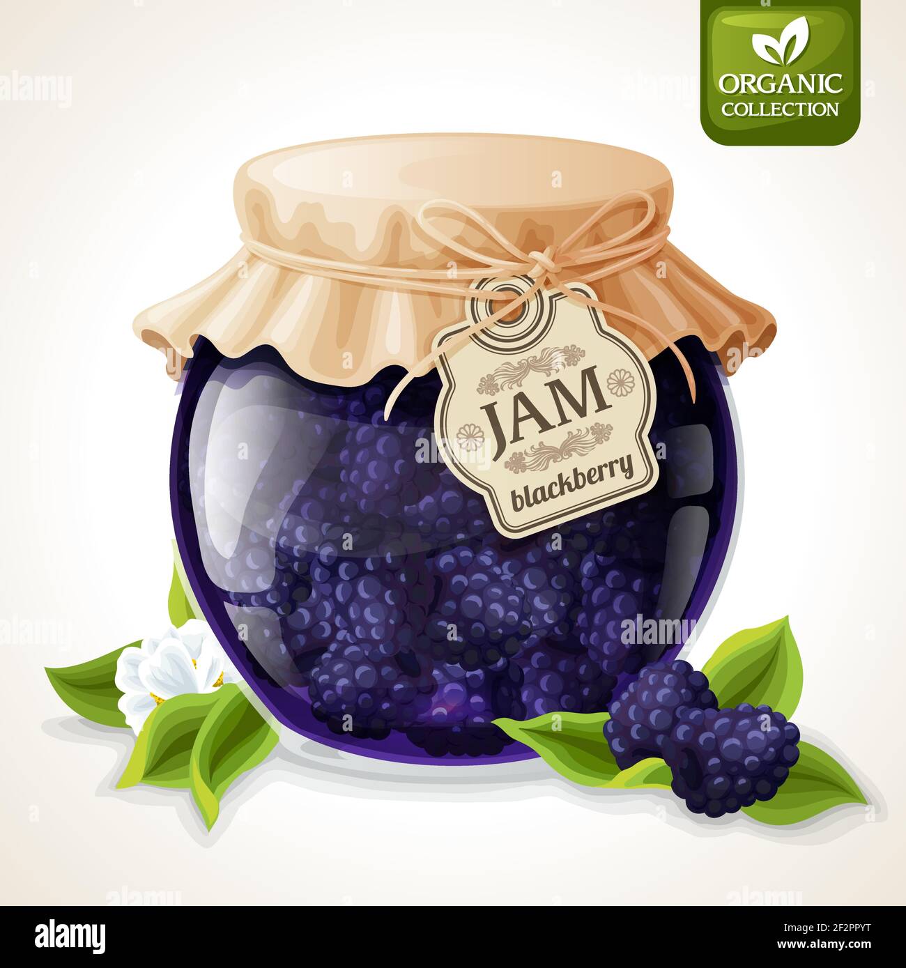 Natural organic homemade forest blackberry jam in glass jar with tag and paper cover vector illustration Stock Vector