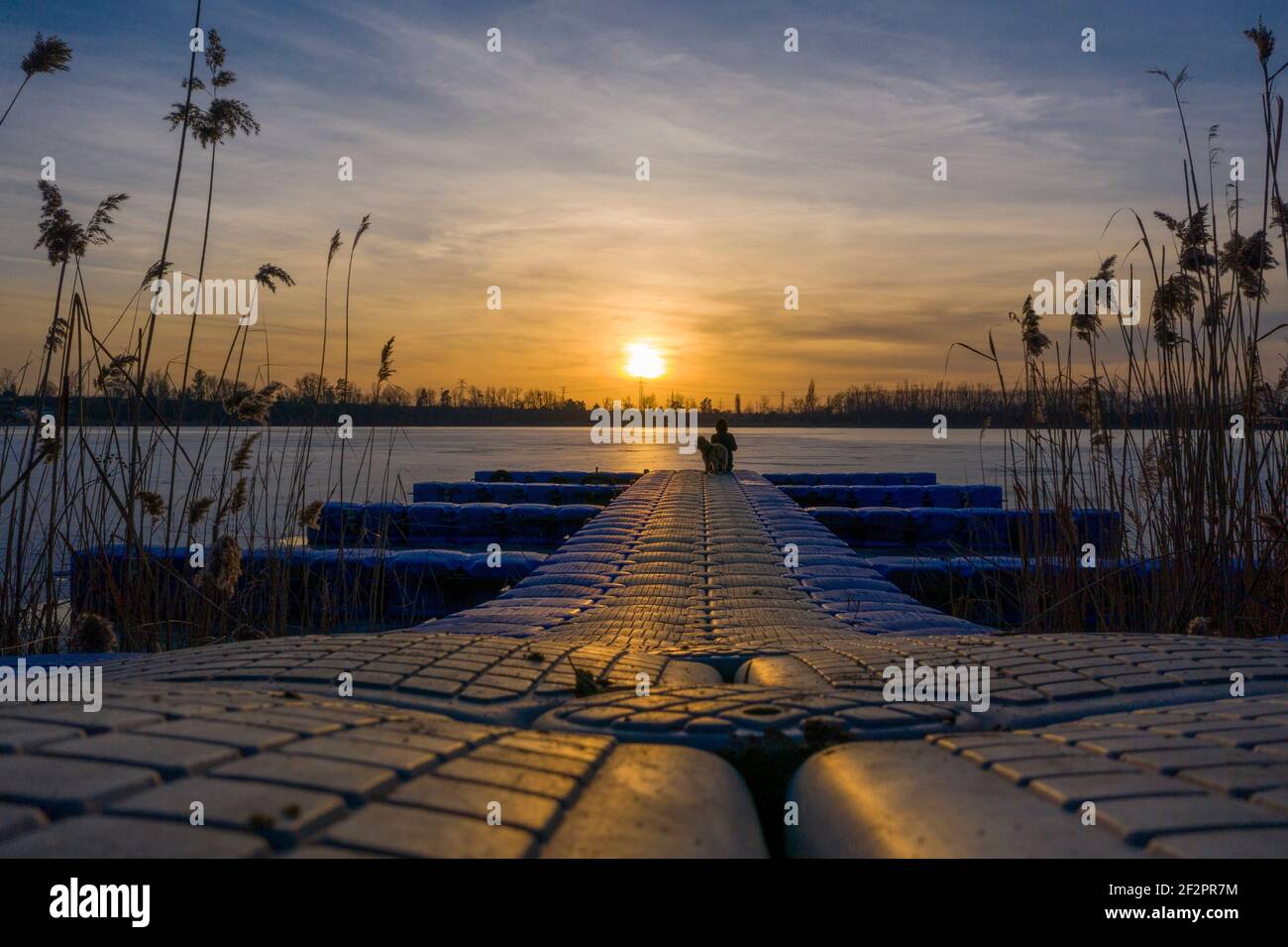 Germany, Saxony-Anhalt, Jersleben, sunset at Jersleber See, boat dock with woman and dog. Stock Photo