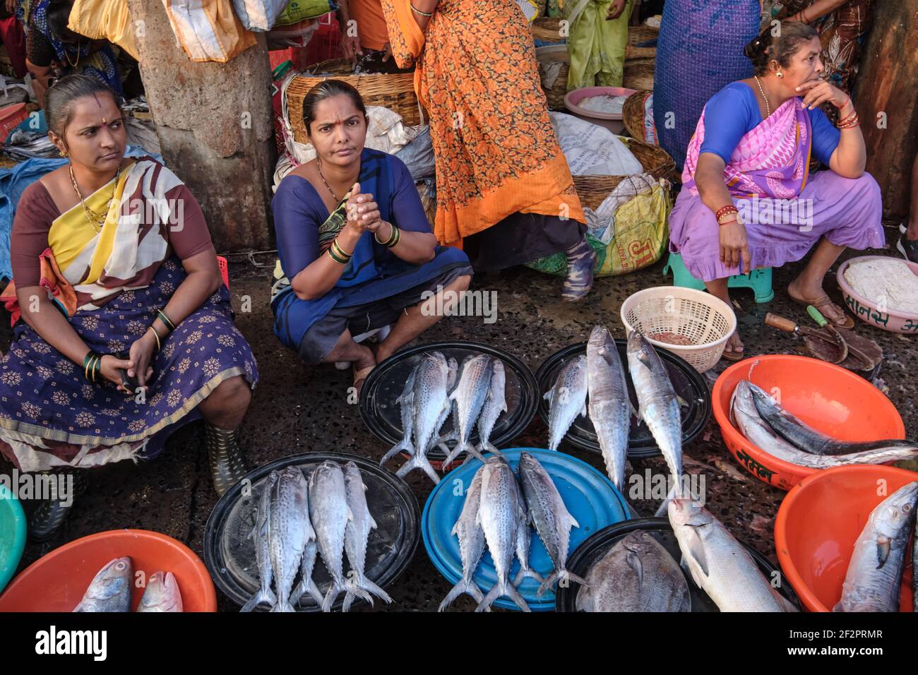 Women Selling Fish India High Resolution Stock Photography and Images ...