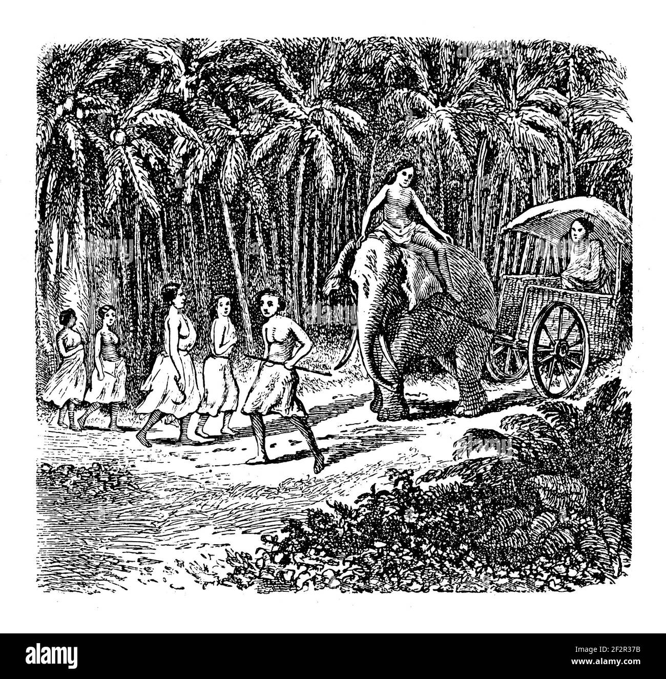 Antique 19th-century engraving of Sinhalese people from Sri Lanka. Illustration published in Systematischer Bilder-Atlas zum Conversations-Lexikon, Ik Stock Photo