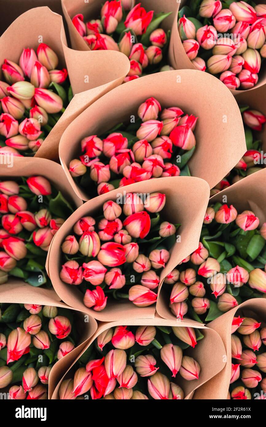 Bouquet of pink tulips close-up, a beautiful bouquet of tulips on the ...
