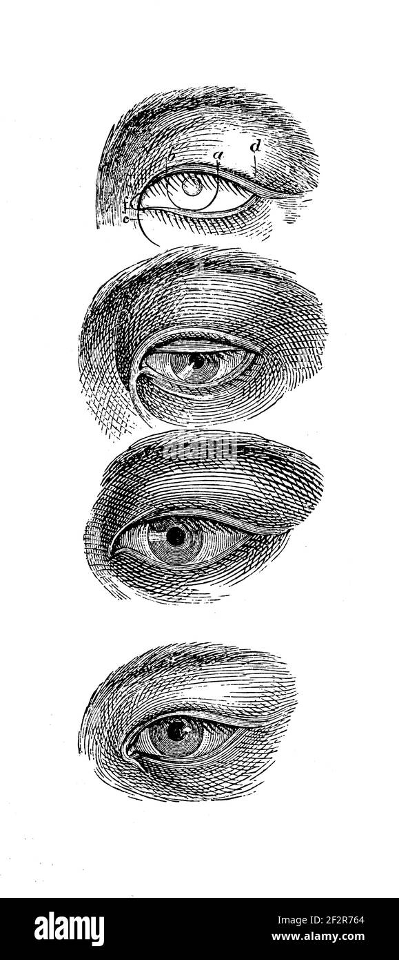 Antique engraving of eyes. From top to bottom - Japanese, Korean, Chinese, Dayak. Illustration published in Systematischer Bilder-Atlas zum Conversati Stock Photo