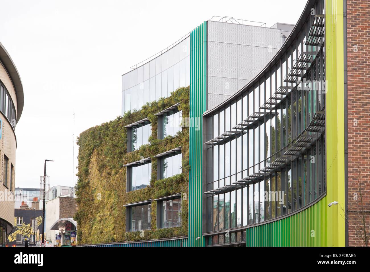 Living Green Wall Vertical Garden MTV Studios Channel 5 Studios Hawley Crescent Camden Town by Jacobs Webber Biotecture Stock Photo